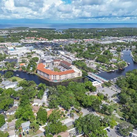 Walk Everywhere! 1-Bedroom Gem In Downtown Hub New Port Richey Exterior foto